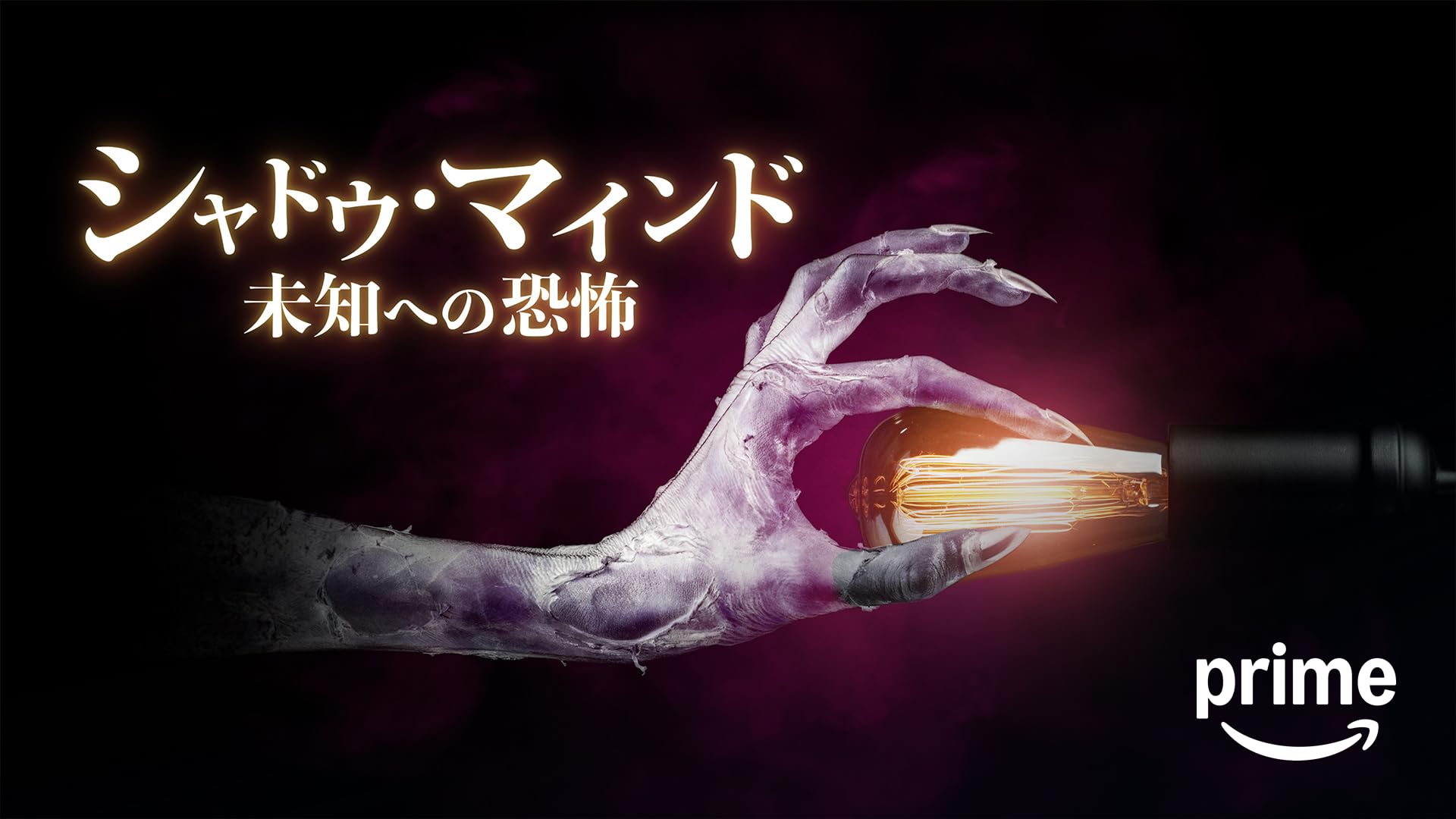 レンタル落ちDVD『タイム・ダイレイション 死のベッド』他 レンタル落ちDVD『タイム・ダイレイション 死のベッド』他